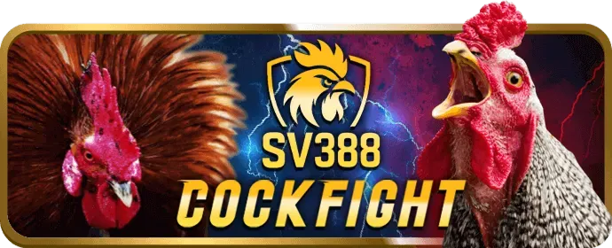 Công cụ kiểm tra thực tế tại 368bet link mới